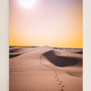 The Great Indian Desert